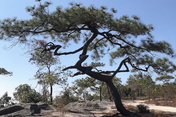 #PhuKradueng #Thailand