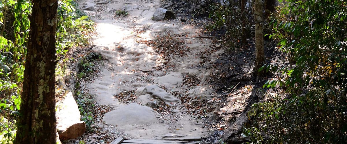 Phu Kradueng is an opportunity for those that aren't regular hikers to try a hard hike without having to carry their packs or any gear. There are tents, sleeping bags, food and showers available at the top and porters to haul your bags up should you wish it. There are several food and water vendors at various distances up the mountain. At a moderate pace, expect the hike to the summit to take 8hrs or more and then another 30 min to an hour or so to the camp area from the summit. Try to catch a sunrise and a sunset if you can pry yourself out of bed after the near vertical last section of trail.
#takeahike