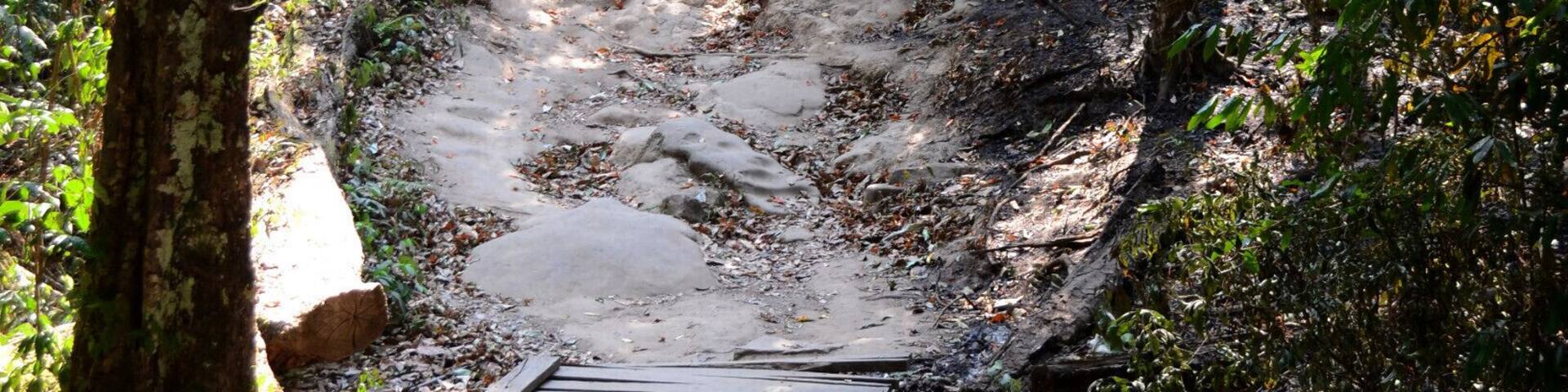 Phu Kradueng is an opportunity for those that aren't regular hikers to try a hard hike without having to carry their packs or any gear. There are tents, sleeping bags, food and showers available at the top and porters to haul your bags up should you wish it. There are several food and water vendors at various distances up the mountain. At a moderate pace, expect the hike to the summit to take 8hrs or more and then another 30 min to an hour or so to the camp area from the summit. Try to catch a sunrise and a sunset if you can pry yourself out of bed after the near vertical last section of trail.
#takeahike