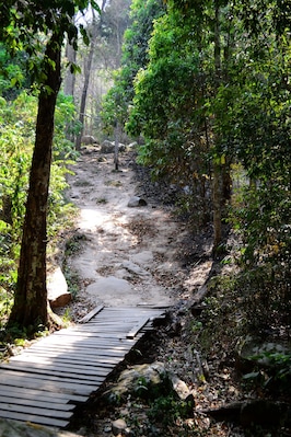 Phu Kradueng is an opportunity for those that aren't regular hikers to try a hard hike without having to carry their packs or any gear. There are tents, sleeping bags, food and showers available at the top and porters to haul your bags up should you wish it. There are several food and water vendors at various distances up the mountain. At a moderate pace, expect the hike to the summit to take 8hrs or more and then another 30 min to an hour or so to the camp area from the summit. Try to catch a sunrise and a sunset if you can pry yourself out of bed after the near vertical last section of trail.
#takeahike