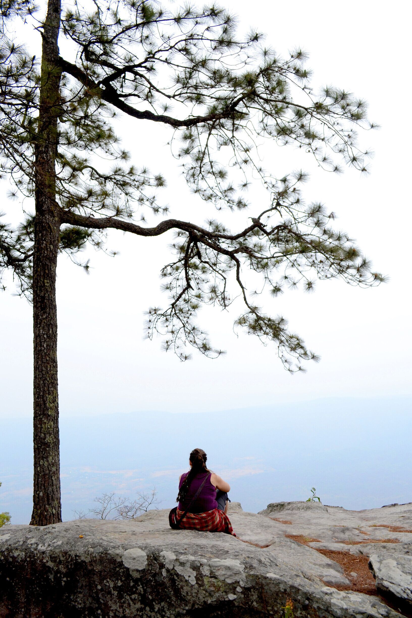 A person sitting on a rock with a pine tree in the background.
