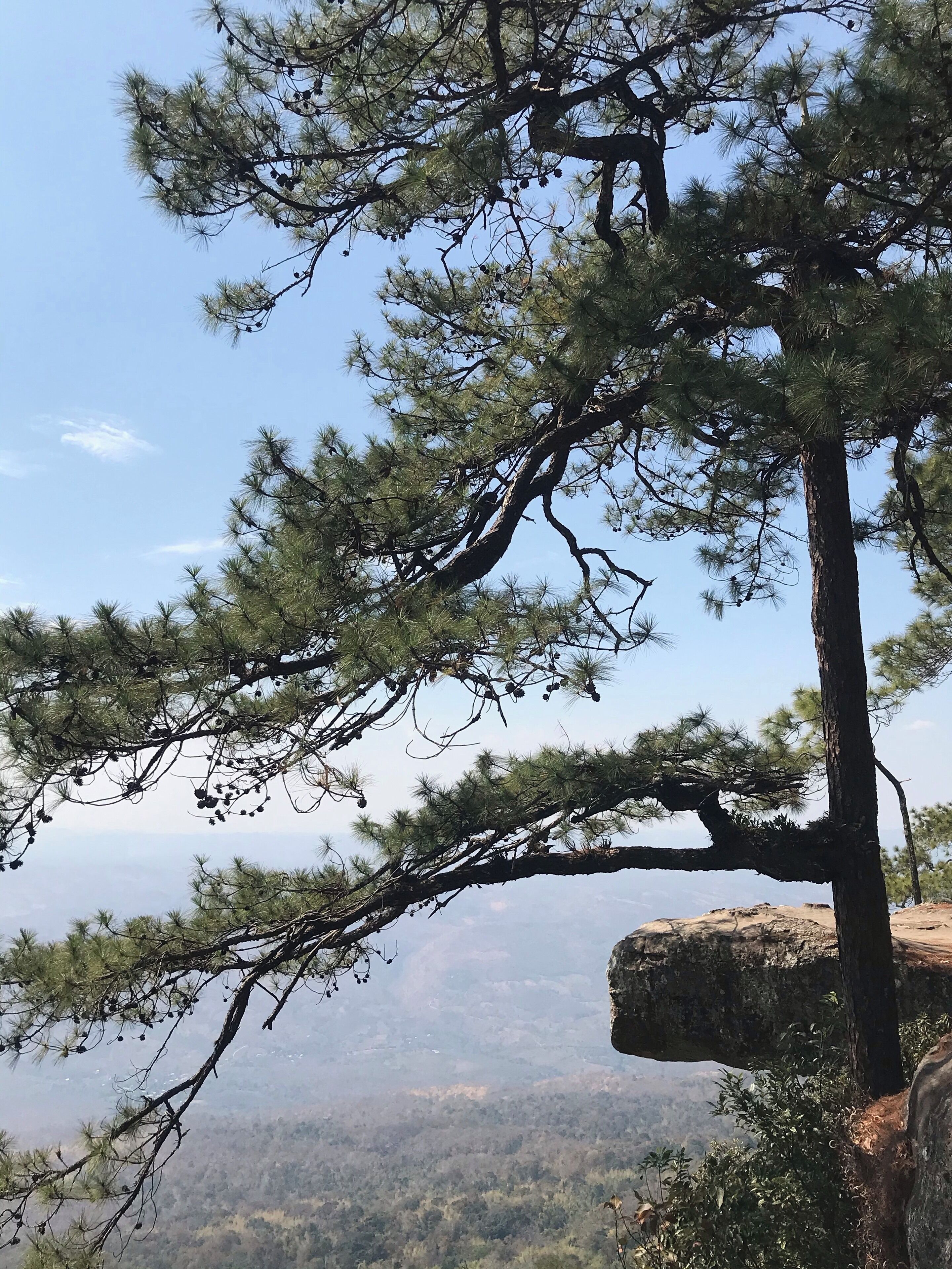 #PhuKradueng #Thailand