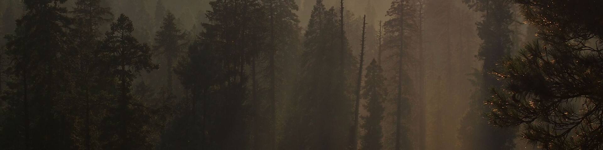 sunset with long shadows