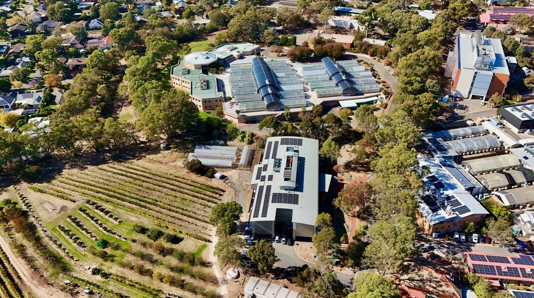 Waite Campus, Urrbrae, South Australia: aerial view of the University of Adelaide agricultural research hub with heritage buildings, labs, vineyards, and gardens at the foot of Adelaide Hills.