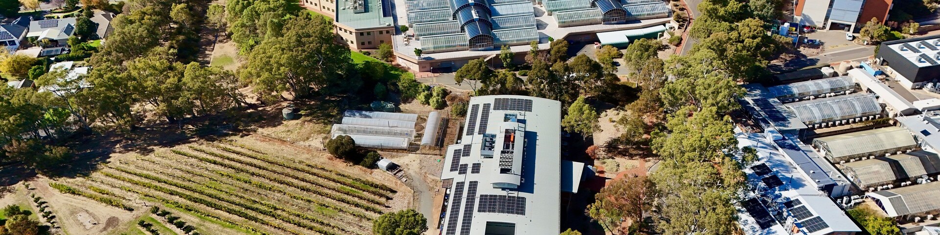 Waite Campus, Urrbrae, South Australia: aerial view of the University of Adelaide agricultural research hub with heritage buildings, labs, vineyards, and gardens at the foot of Adelaide Hills.