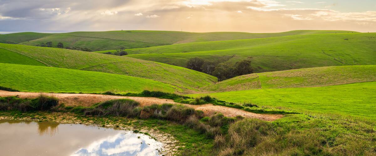 Rolling green hills, a small pond, and a cloudy sky.