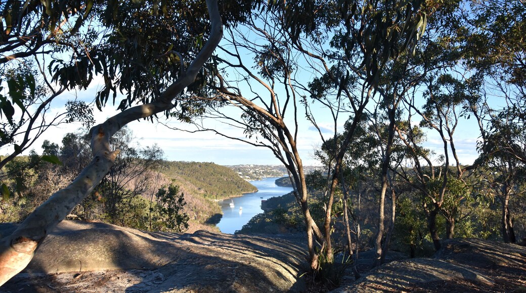 Middle Harbour, view from The Bluff lookout in Garigal National Park (Sydney, NSW, Australia)