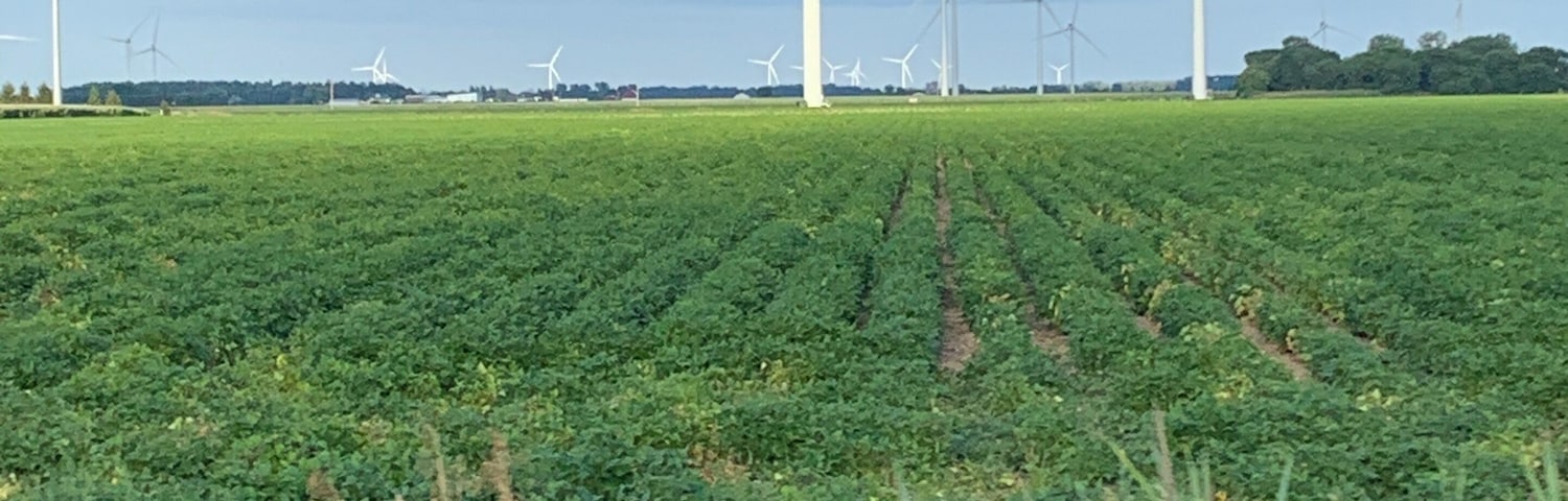The simplistic beauty of farm country with the ginormous energy windmills is quite the contrast.