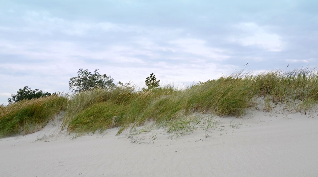 Ostseestrand - Dünen