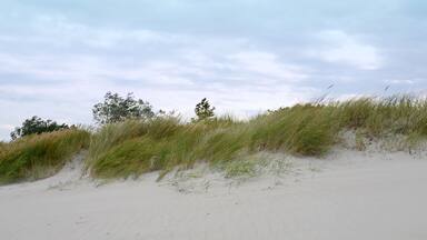Ostseestrand - Dünen