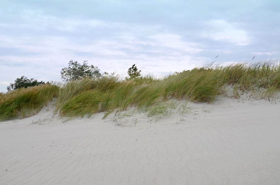 Ostseestrand - Dünen
