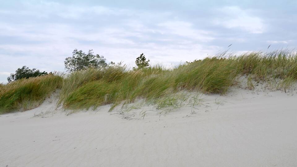 A sandy beach with dunes and sparse vegetation.