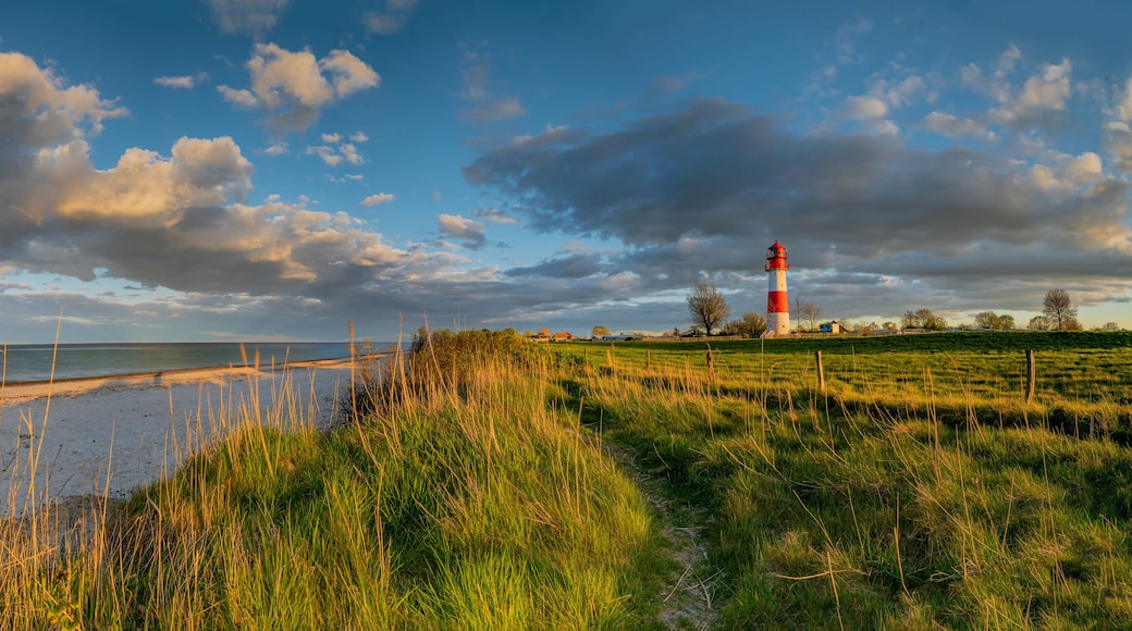 Breathtaking beautiful panorama of coastal landscape at the Baltic Sea at the Falshöft lighthouse Geltinger Birk, Schleswig-Holstein, Germany, stunning view from Baltic Sea coastline with sandy beach