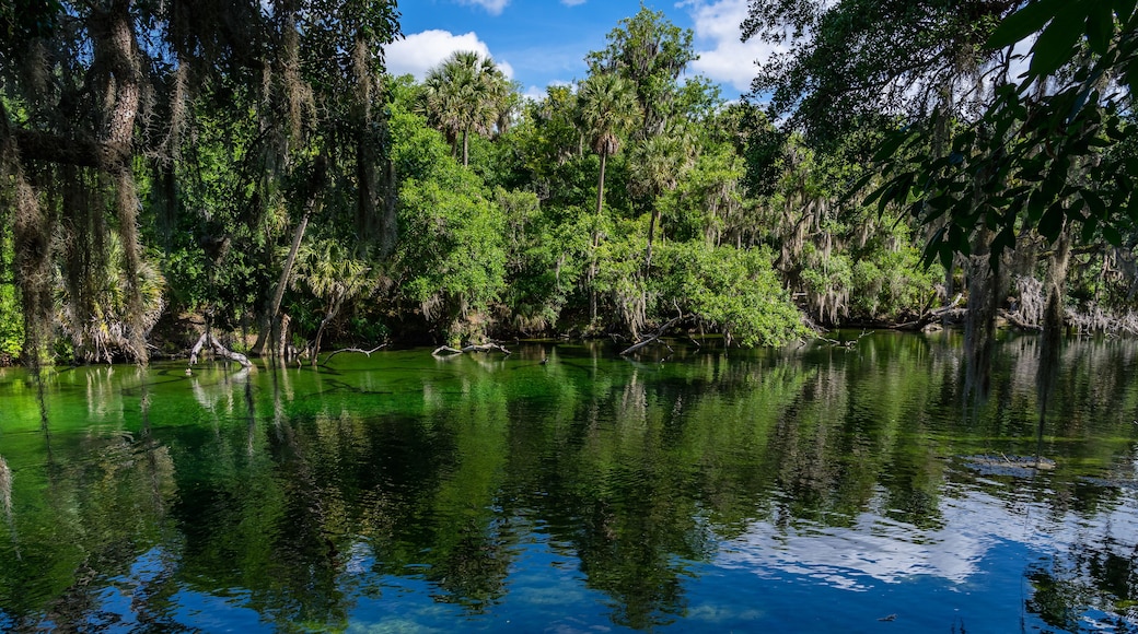 Aire de loisirs et parc d'Ătat de Blue Springs