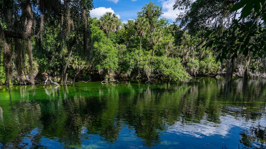 Blue Springs State Recreation Area And Park