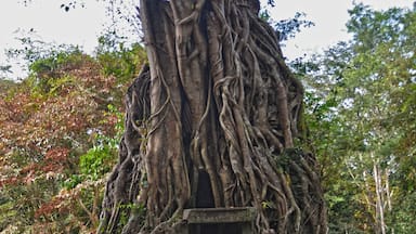 A stunning pre-Angkor Unesco site in the Kampong Thom district, Cambodia.
It's beautiful to see how nature is growing through and sometimes upon the very old temples and buildings of the ancient city of Iśanapura. Find a guide, possibly a woman, and let them explain the origin of the city. It is not crowded at all, and it's beauty is not less that the most famous and biggest Angkor Wat.