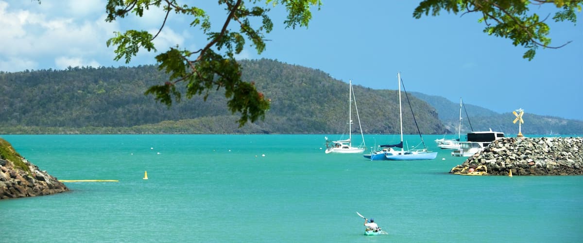Shingley Beach showing a bay or harbor, kayaking or canoeing and tropical scenes