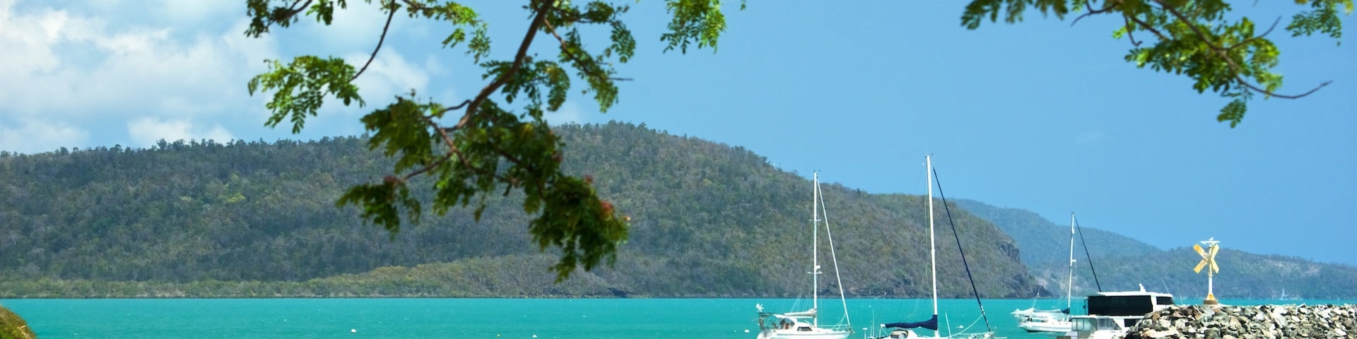 Shingley Beach showing a bay or harbor, kayaking or canoeing and tropical scenes