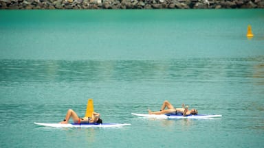 Stadtgebiet Airlie Beach