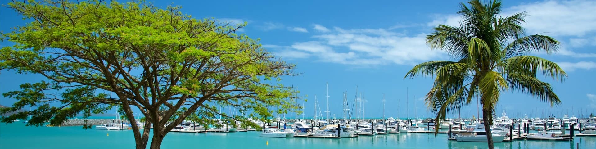 Airlie Beach which includes a bay or harbour and general coastal views as well as an individual male