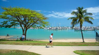 Un homme fait du jogging le long d’un sentier bordant une marina, où l’on peut voir des bateaux et des palmiers.