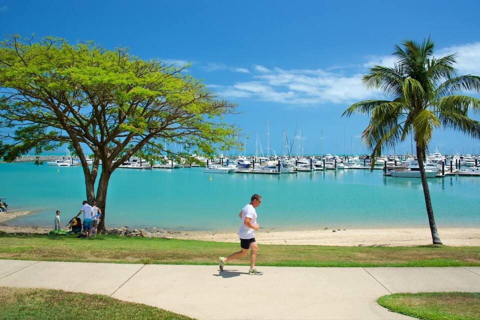 A man jogging along a path by a marina with boats and palm trees.