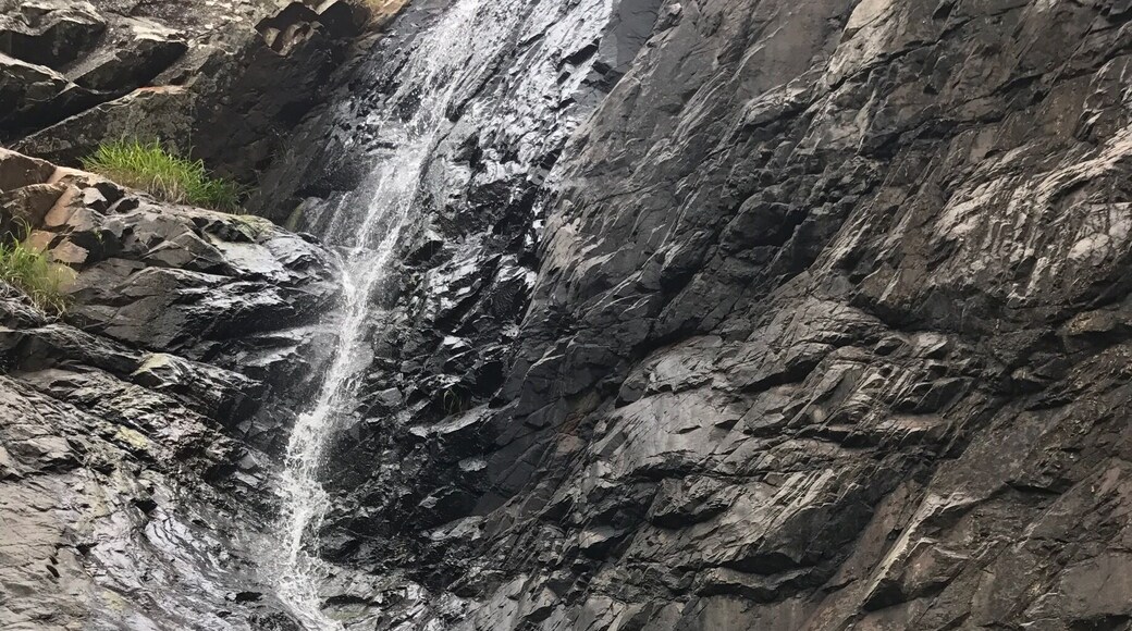 Great place for a swim