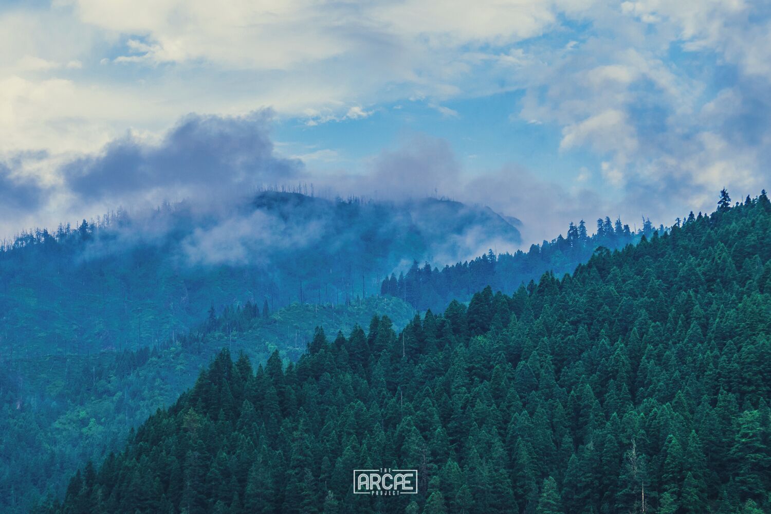 All my favorite dreams end up with cloudy mountains. 