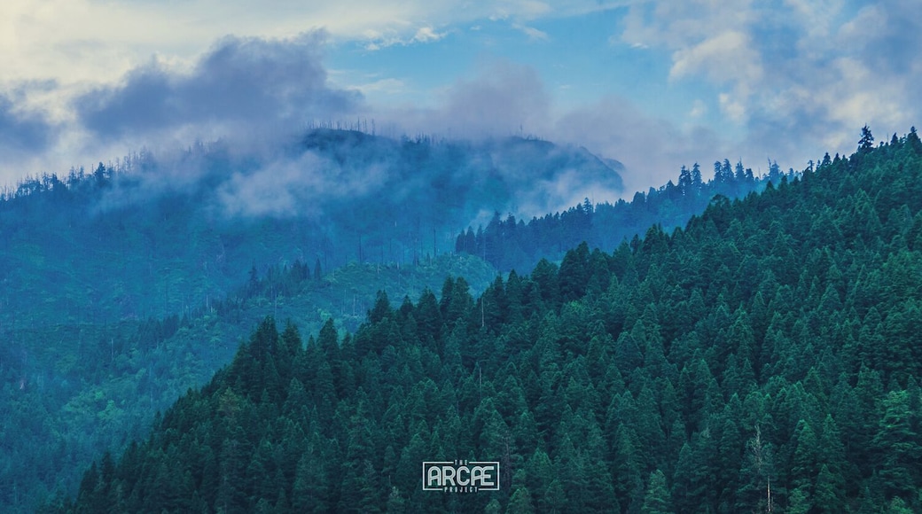 All my favorite dreams end up with cloudy mountains.