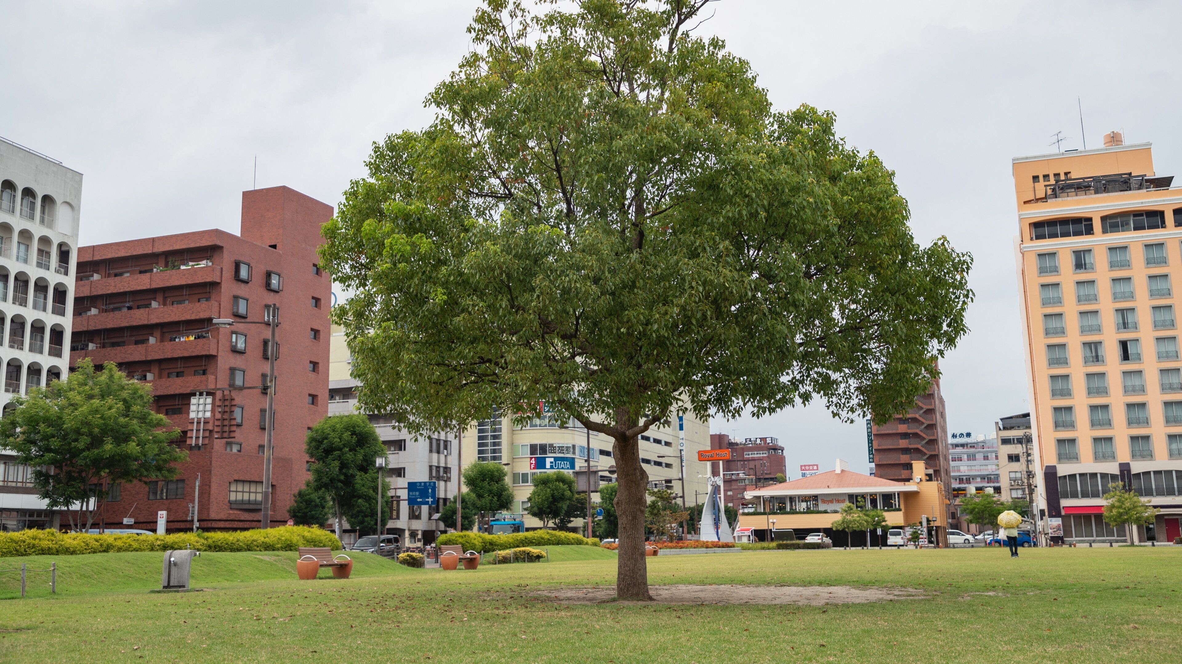 Kyushu featuring a park