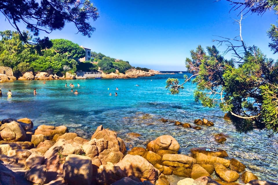 A clear coastal area with rocky shores, people swimming, and lush greenery.