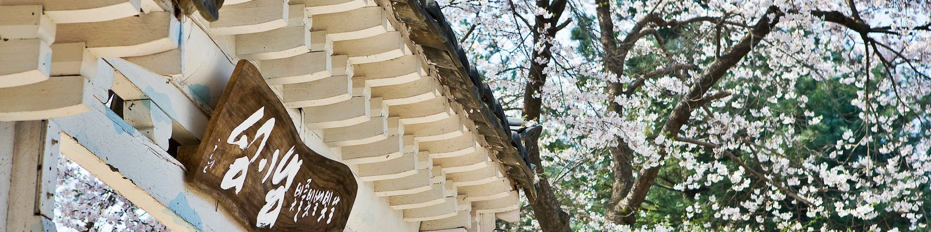 Nami Island which includes signage and wildflowers