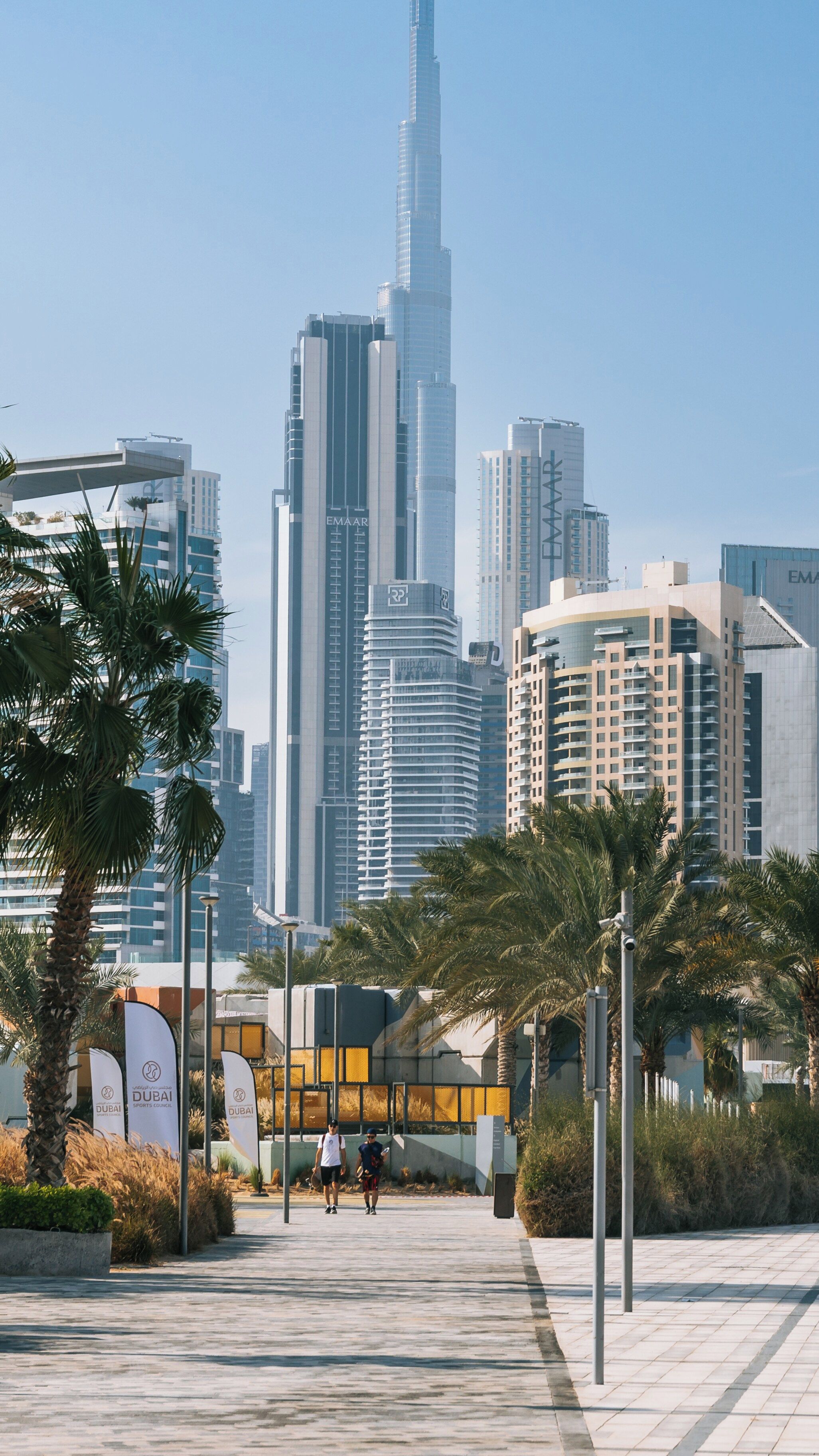 A cityscape with modern skyscrapers, palm trees, and a clear sky.