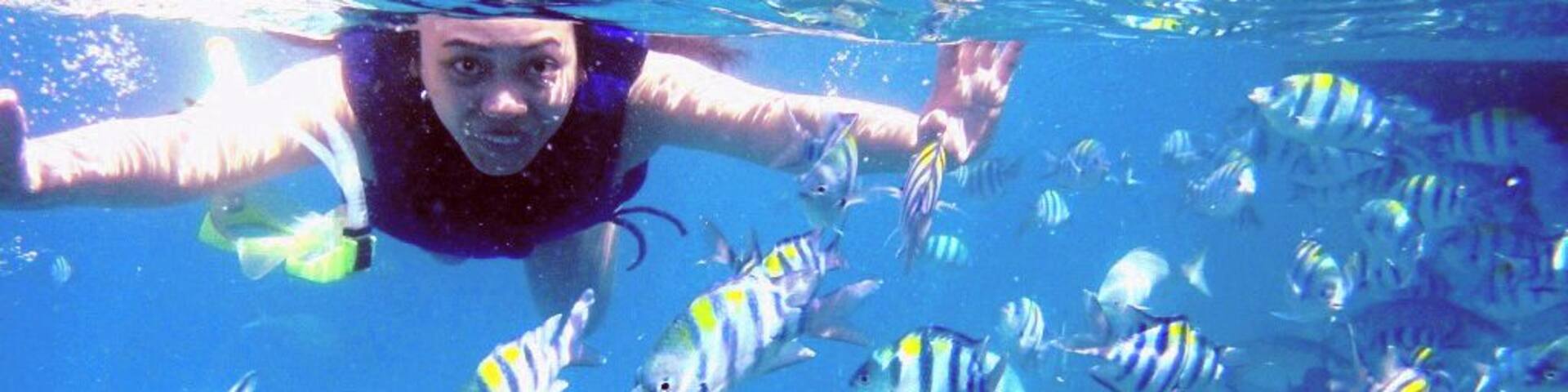Swimming with this school of fishes in the #blue Batangas sea is the coolest thing to do.