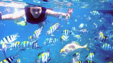 Swimming with this school of fishes in the #blue Batangas sea is the coolest thing to do.