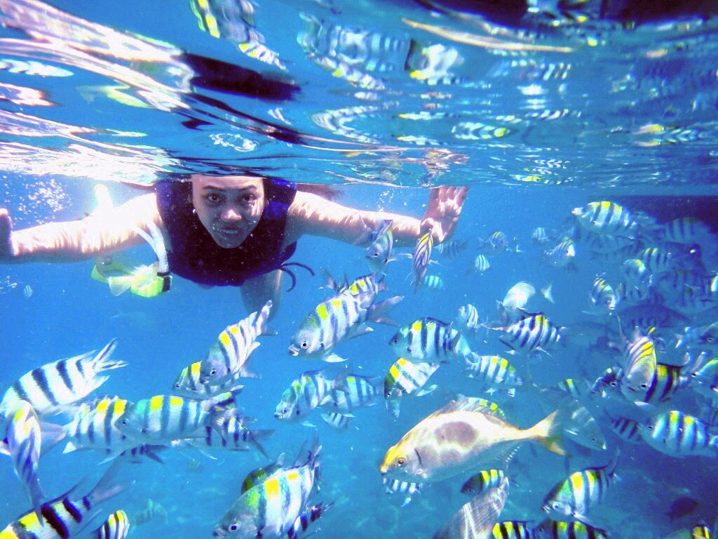 A person swimming underwater surrounded by striped fish.