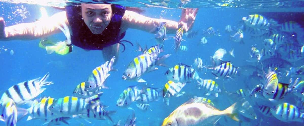 A person swimming underwater surrounded by striped fish.