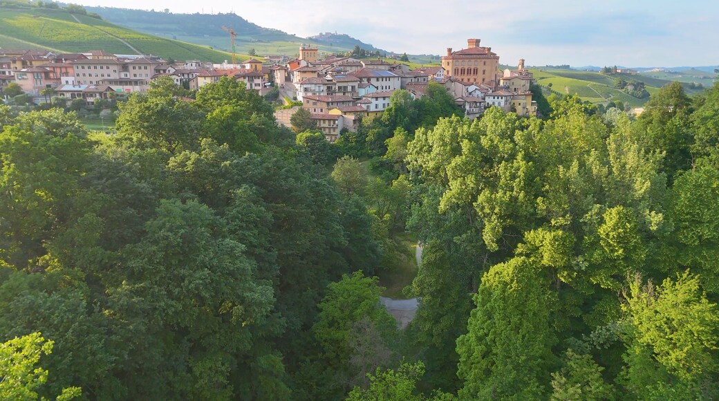 A town nestled in a valley with lush greenery, historic buildings, and a prominent castle-like structure.