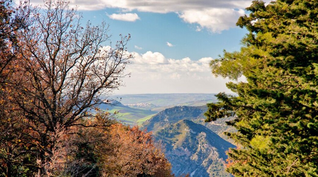 Monti Palazzo Adriano