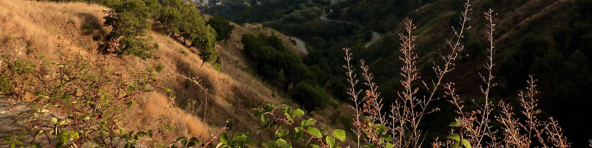 The south of the Aspromonte near Bagaladi seen towards south. A dry river bed (Fiumara di Melito).