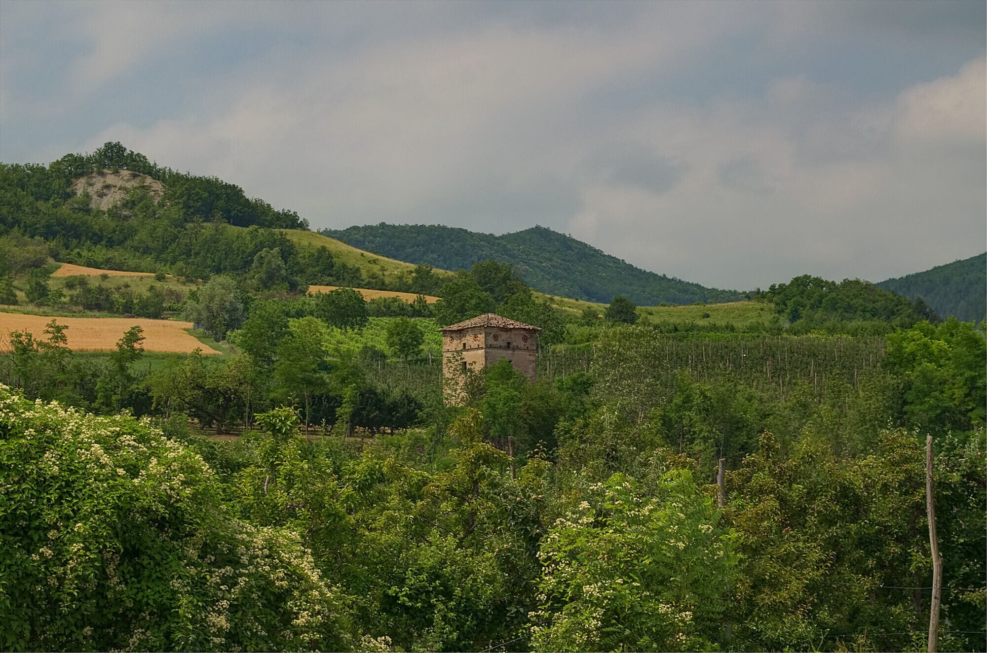 Campagna tra Casa Barletta e Torretta
