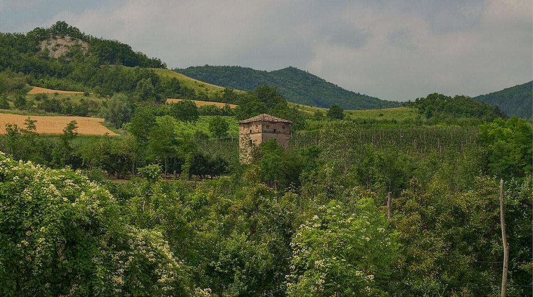 Campagna tra Casa Barletta e Torretta