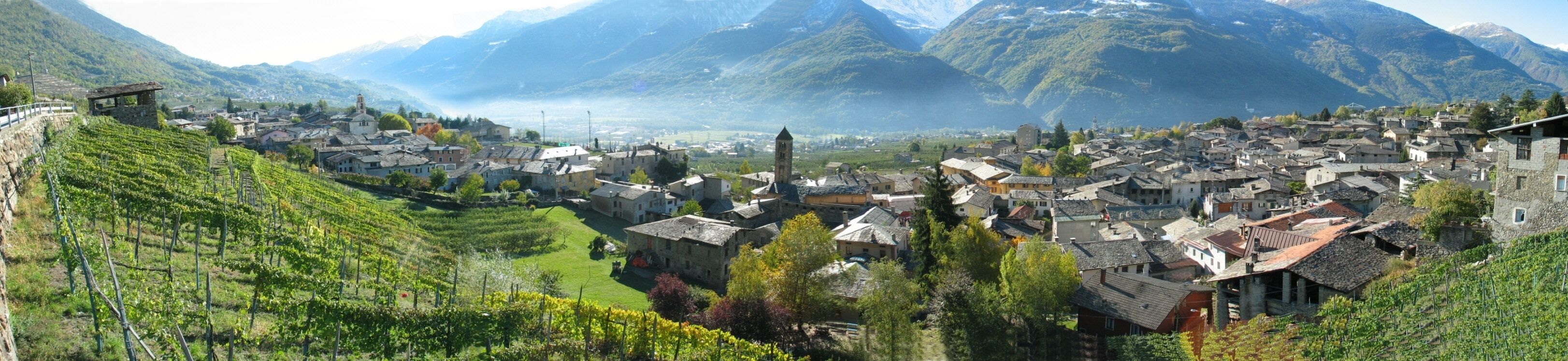 A mountainous village with vineyards and traditional stone buildings.