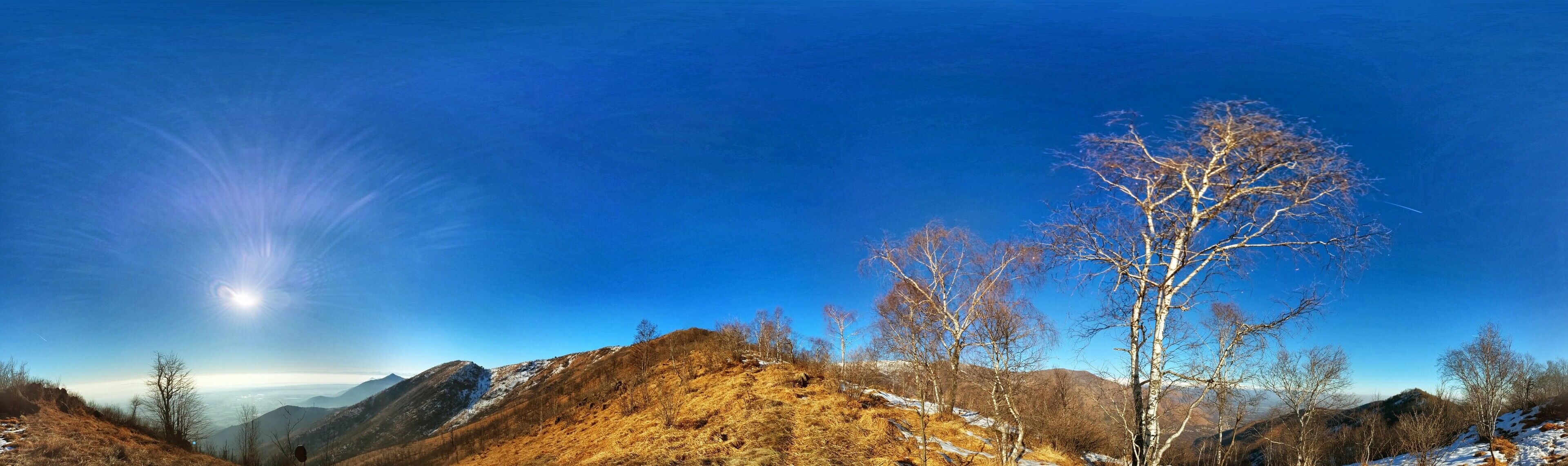 A mountainous landscape with a clear blue sky, a prominent leafless tree, and snow patches on the hills.