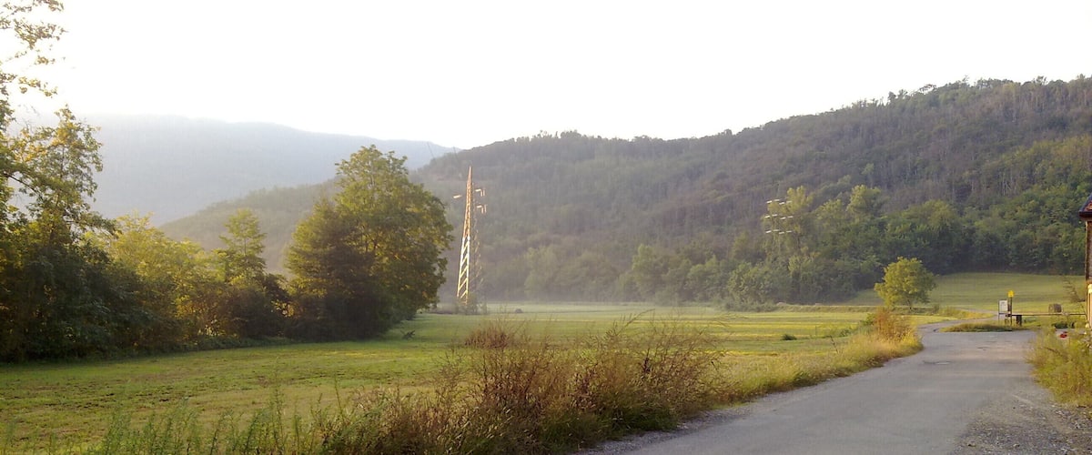 A rural road leading through a green field with trees and hills in the background.