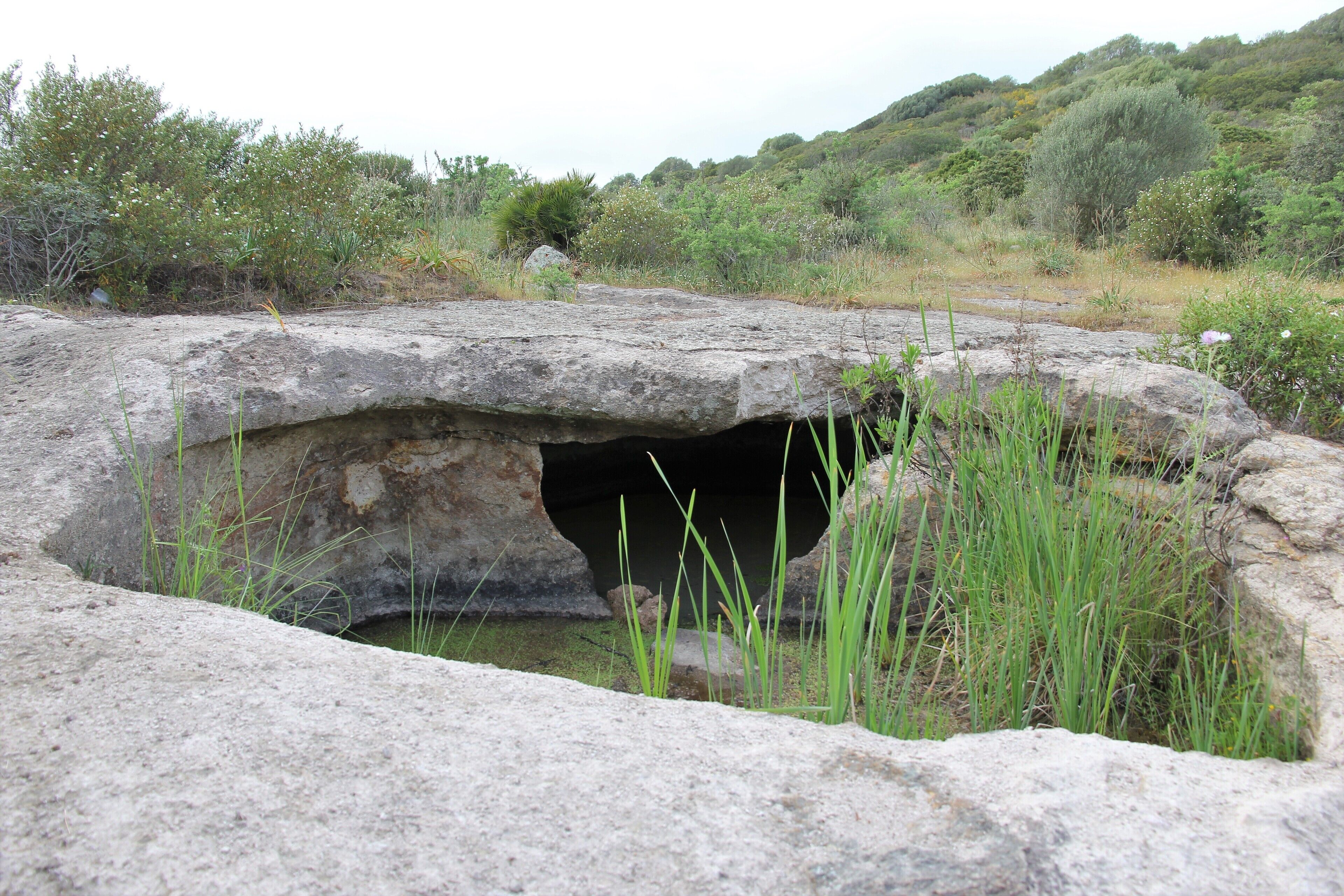 Putifigari, necropoli di Monte Siseri