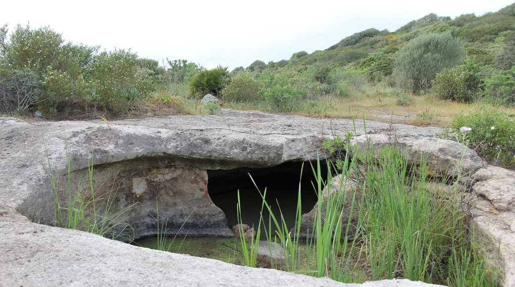 Putifigari, necropoli di Monte Siseri