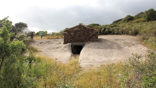 Putifigari, necropoli di Monte Siseri