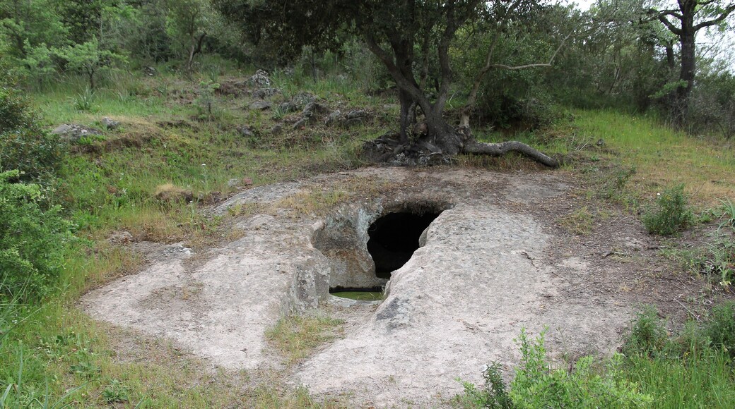 Putifigari, necropoli di Monte Siseri