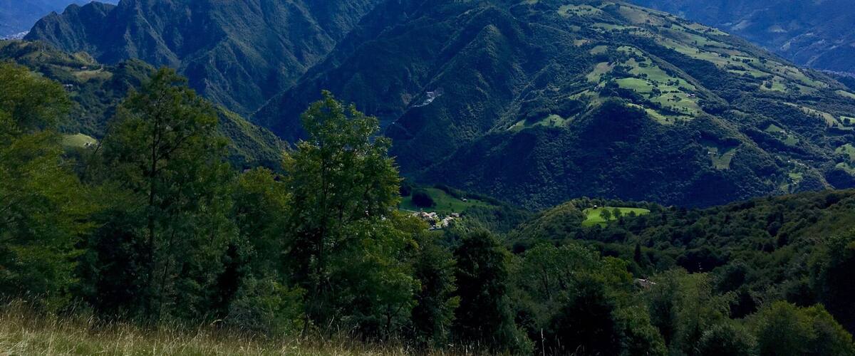 A mountainous landscape with dense forests and scattered buildings.